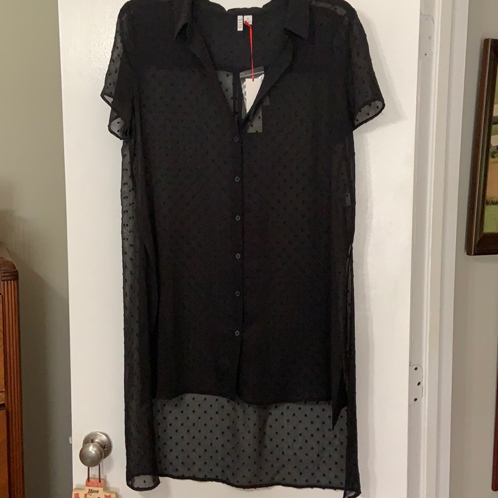 Sheer Black Dress